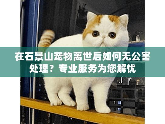 在石景山宠物离世后如何无公害处理?专业服务为您解忧 在石景山宠物离世后如何无公害处理?专业服务为您解忧