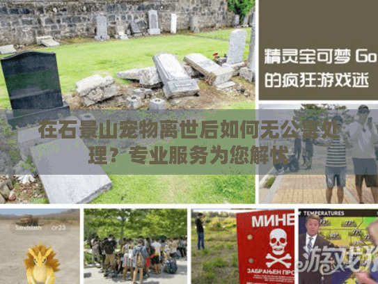 在石景山宠物离世后如何无公害处理?专业服务为您解忧 在石景山宠物离世后如何无公害处理?专业服务为您解忧