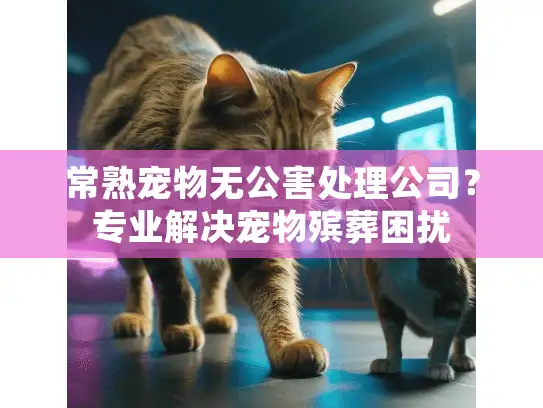 常熟宠物无公害处理公司？专业解决宠物殡葬困扰