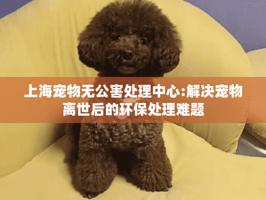 上海宠物无公害处理中心:解决宠物离世后的环保处理难题