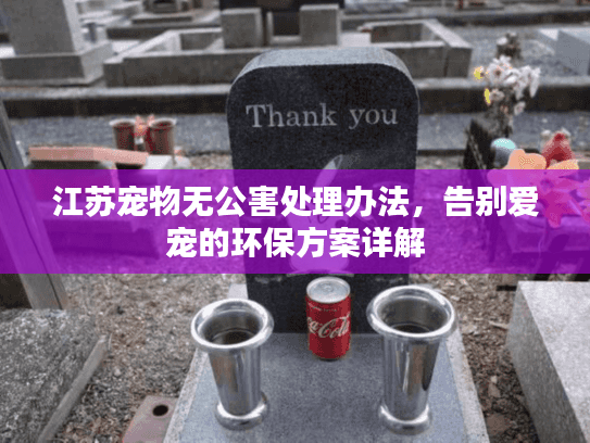 江苏宠物无公害处理办法，告别爱宠的环保方案详解