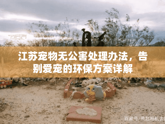 江苏宠物无公害处理办法，告别爱宠的环保方案详解
