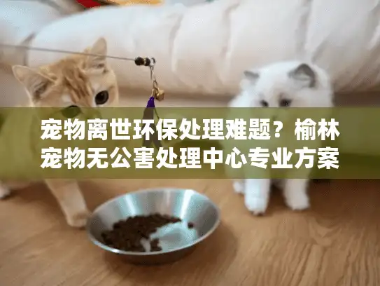 宠物离世环保处理难题？榆林宠物无公害处理中心专业方案