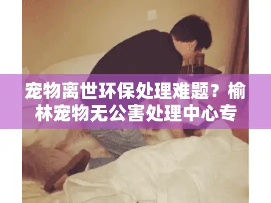 宠物离世环保处理难题？榆林宠物无公害处理中心专业方案