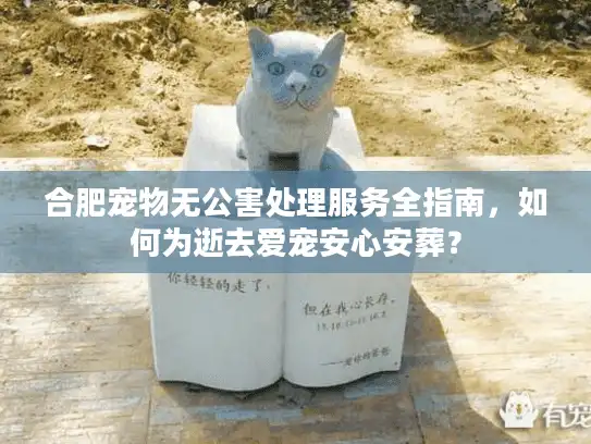 合肥宠物无公害处理服务全指南，如何为逝去爱宠安心安葬？