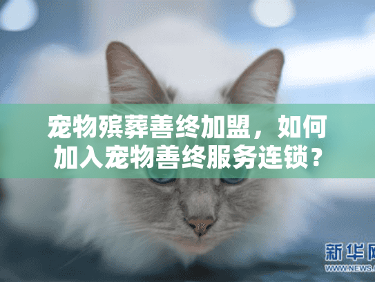 宠物殡葬善终加盟,如何加入宠物善终服务连锁? 宠物殡葬善终加盟,如何加入宠物善终服务连锁?