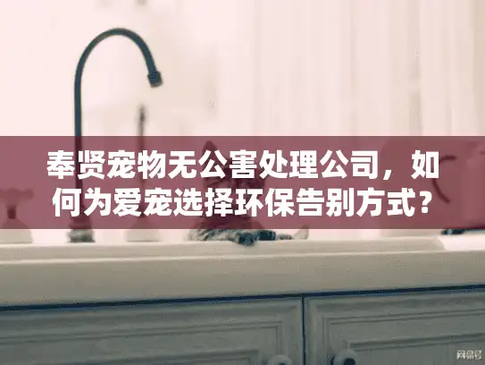 奉贤宠物无公害处理公司，如何为爱宠选择环保告别方式？