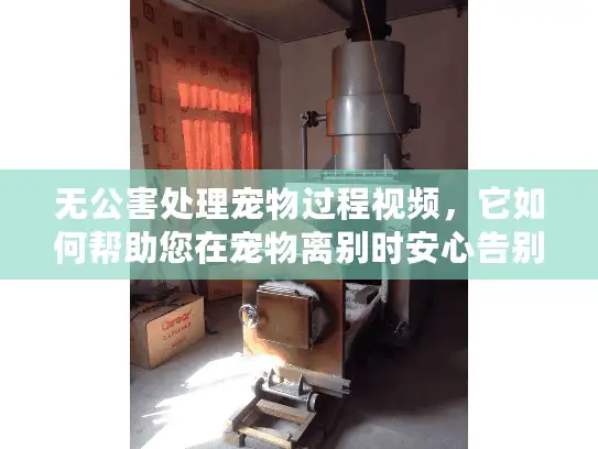 无公害处理宠物过程视频，它如何帮助您在宠物离别时安心告别？