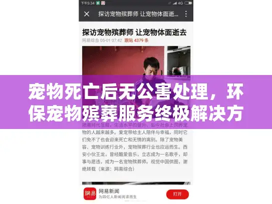 宠物死亡后无公害处理，环保宠物殡葬服务终极解决方案