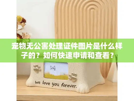 宠物无公害处理证件图片是什么样子的？如何快速申请和查看？