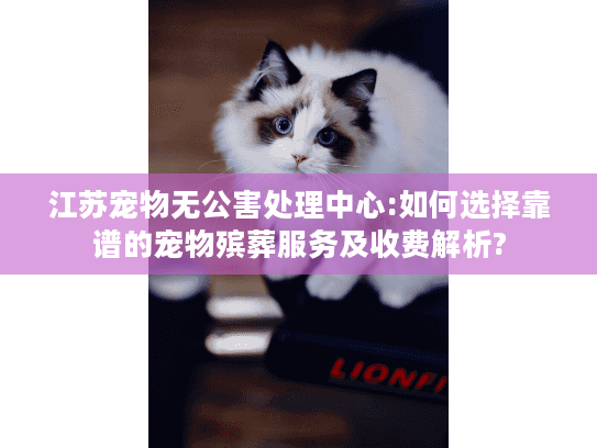 江苏宠物无公害处理中心:如何选择靠谱的宠物殡葬服务及收费解析?