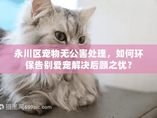 永川区宠物无公害处理，如何环保告别爱宠解决后顾之忧？