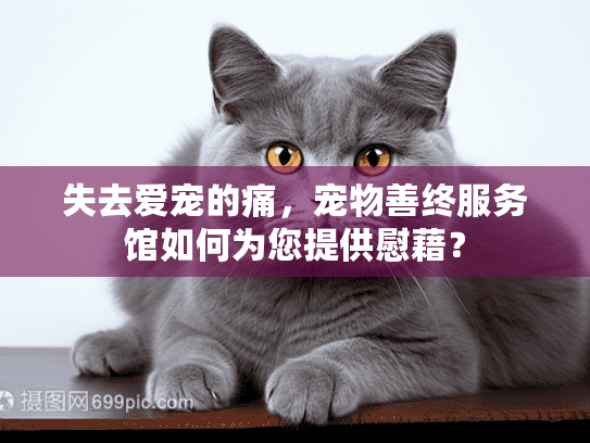 失去爱宠的痛，宠物善终服务馆如何为您提供慰藉？