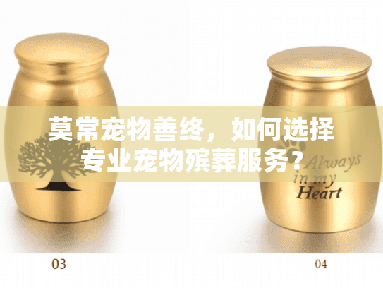 莫常宠物善终,如何选择专业宠物殡葬服务? 莫常宠物善终,如何选择专业宠物殡葬服务?