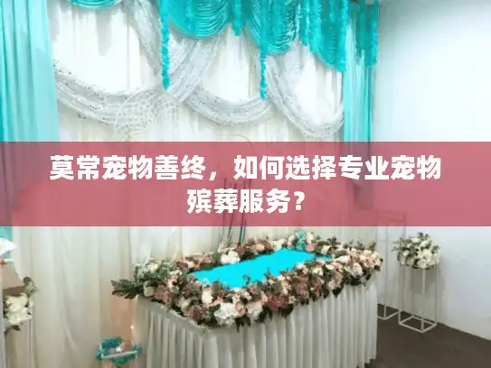 莫常宠物善终,如何选择专业宠物殡葬服务? 莫常宠物善终,如何选择专业宠物殡葬服务?