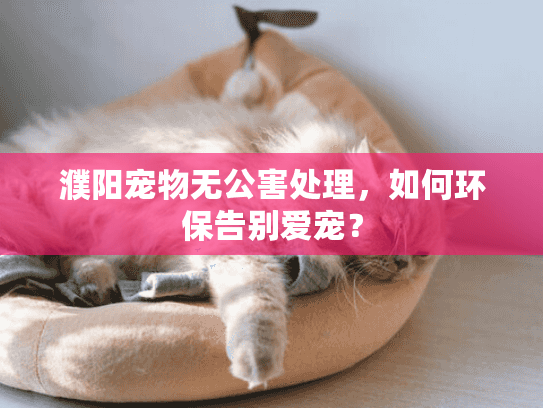 濮阳宠物无公害处理，如何环保告别爱宠？