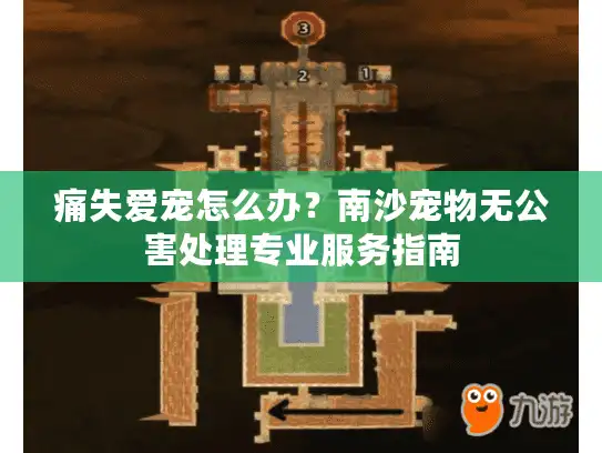 痛失爱宠怎么办？南沙宠物无公害处理专业服务指南