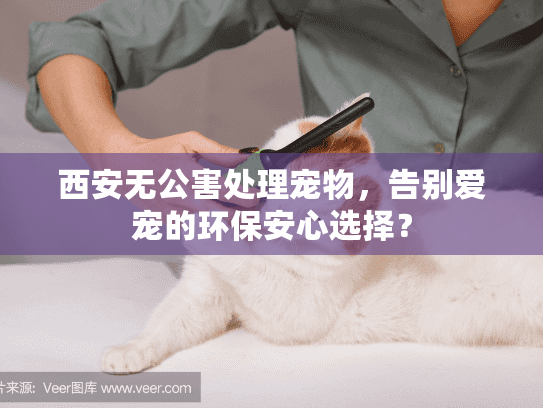 西安无公害处理宠物，告别爱宠的环保安心选择？
