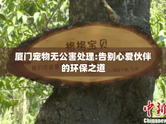 厦门宠物无公害处理:告别心爱伙伴的环保之道