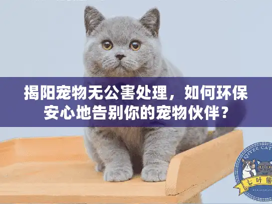 揭阳宠物无公害处理,如何环保安心地告别你的宠物伙伴? 揭阳宠物无公害处理,如何环保安心地告别你的宠物伙伴?