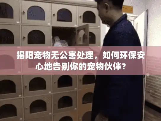 揭阳宠物无公害处理,如何环保安心地告别你的宠物伙伴? 揭阳宠物无公害处理,如何环保安心地告别你的宠物伙伴?