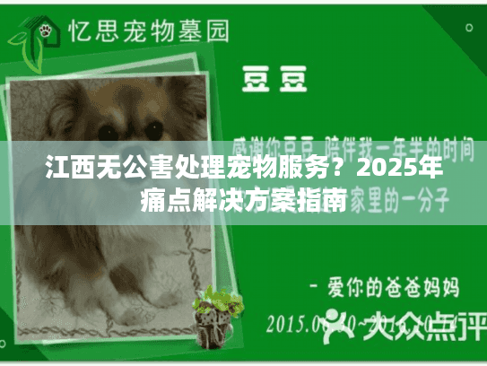 江西无公害处理宠物服务?2025年痛点解决方案指南 江西无公害处理宠物服务?2025年痛点解决方案指南
