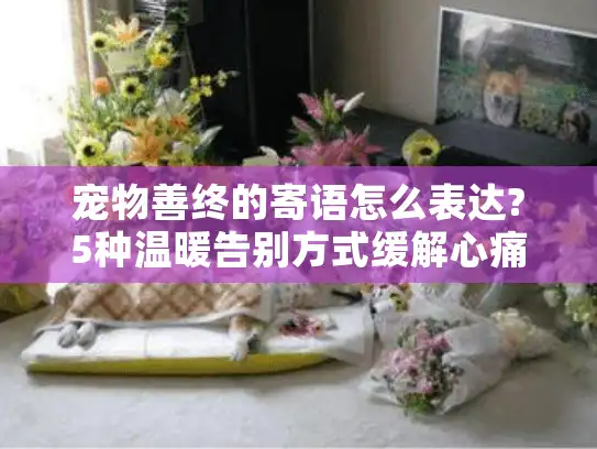 宠物善终的寄语怎么表达?5种温暖告别方式缓解心痛 宠物善终的寄语怎么表达?5种温暖告别方式缓解心痛