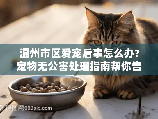 温州市区爱宠后事怎么办?宠物无公害处理指南帮你告别手足无措