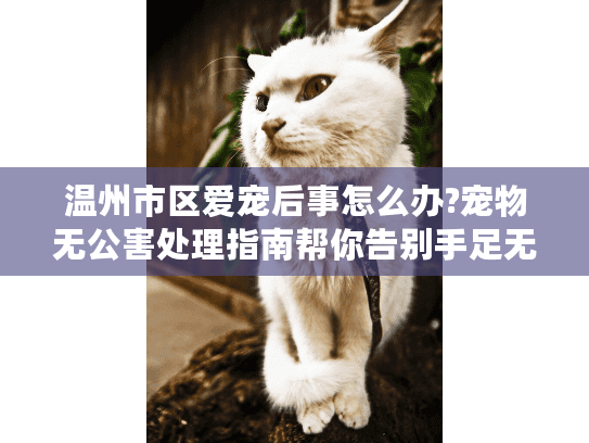温州市区爱宠后事怎么办?宠物无公害处理指南帮你告别手足无措