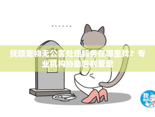 抚顺宠物无公害处理服务在哪里找？专业机构协助告别爱宠