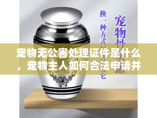 宠物无公害处理证件是什么，宠物主人如何合法申请并避开风险？