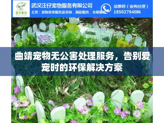 曲靖宠物无公害处理服务，告别爱宠时的环保解决方案