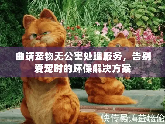 曲靖宠物无公害处理服务，告别爱宠时的环保解决方案