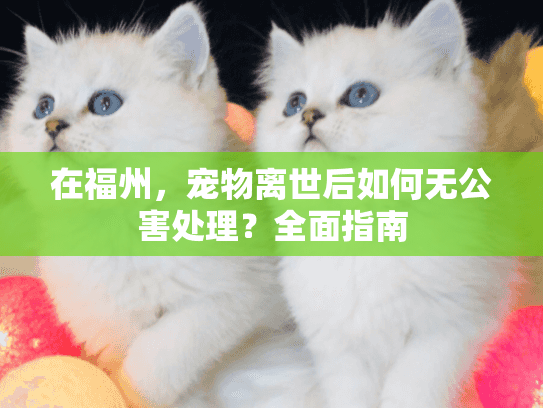 在福州，宠物离世后如何无公害处理？全面指南