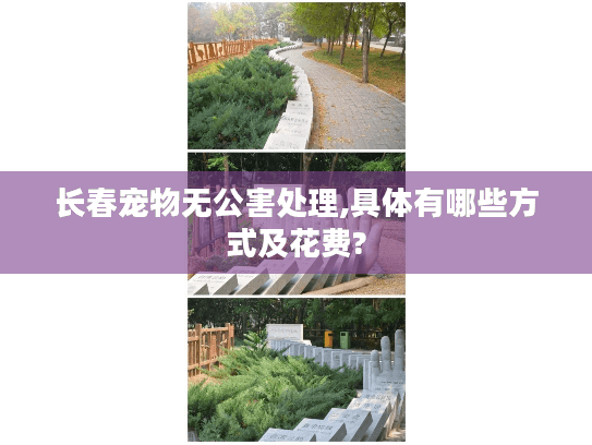 长春宠物无公害处理,具体有哪些方式及花费? 长春宠物无公害处理,具体有哪些方式及花费?