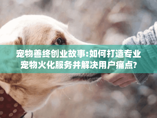 宠物善终创业故事:如何打造专业宠物火化服务并解决用户痛点?