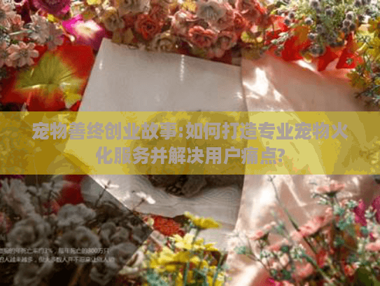 宠物善终创业故事:如何打造专业宠物火化服务并解决用户痛点?