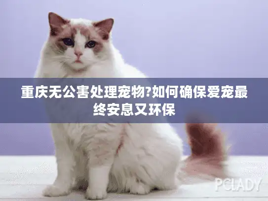 重庆无公害处理宠物?如何确保爱宠最终安息又环保 重庆无公害处理宠物?如何确保爱宠最终安息又环保