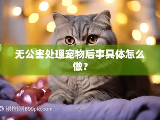 无公害处理宠物后事具体怎么做？