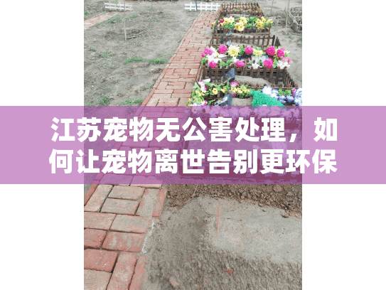 江苏宠物无公害处理，如何让宠物离世告别更环保安全？