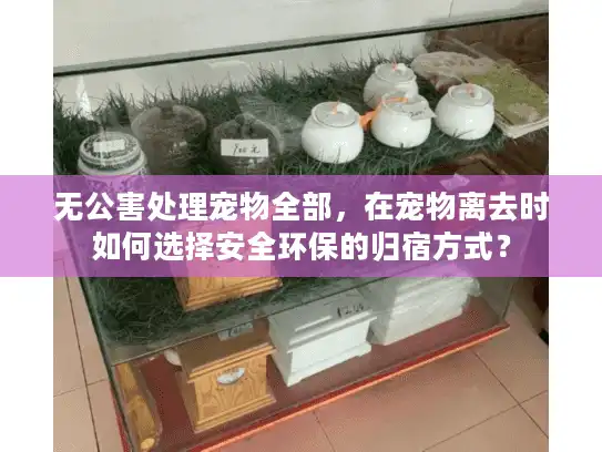 无公害处理宠物全部，在宠物离去时如何选择安全环保的归宿方式？