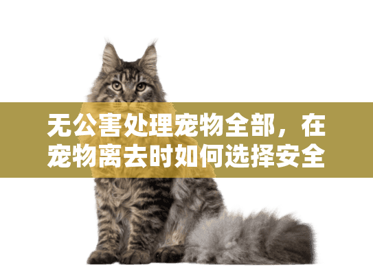 无公害处理宠物全部，在宠物离去时如何选择安全环保的归宿方式？