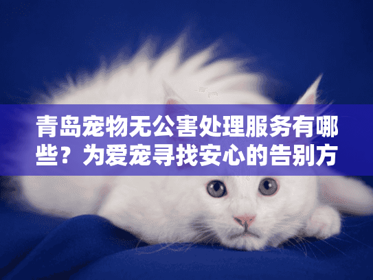 青岛宠物无公害处理服务有哪些?为爱宠寻找安心的告别方式 青岛宠物无公害处理服务有哪些?为爱宠寻找安心的告别方式