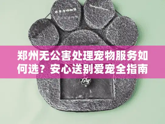 郑州无公害处理宠物服务如何选？安心送别爱宠全指南