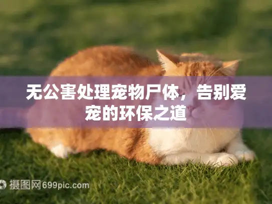 无公害处理宠物尸体,告别爱宠的环保之道 无公害处理宠物尸体,告别爱宠的环保之道