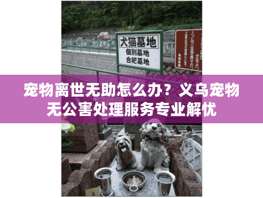 宠物离世无助怎么办？义乌宠物无公害处理服务专业解忧