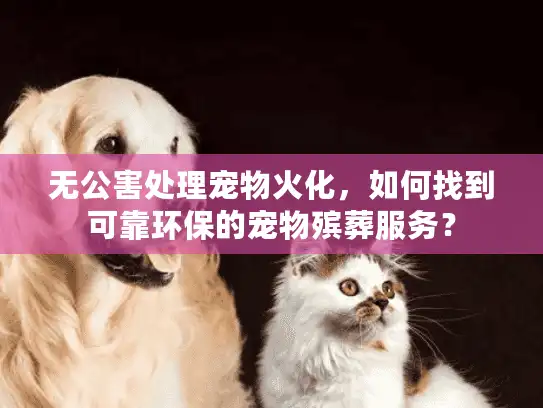 无公害处理宠物火化，如何找到可靠环保的宠物殡葬服务？