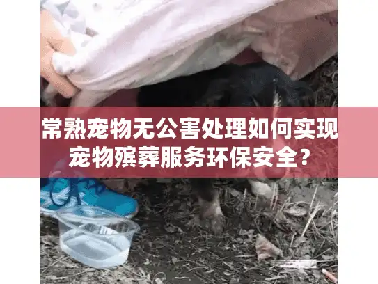 常熟宠物无公害处理如何实现宠物殡葬服务环保安全? 常熟宠物无公害处理如何实现宠物殡葬服务环保安全?