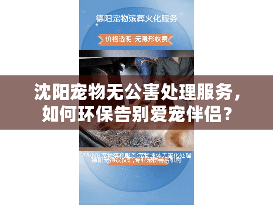 沈阳宠物无公害处理服务,如何环保告别爱宠伴侣? 沈阳宠物无公害处理服务,如何环保告别爱宠伴侣?