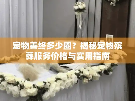 宠物善终多少圈？揭秘宠物殡葬服务价格与实用指南